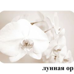 БОСТОН - 2 опоры Брифинг в Троицке - troick.mebel24.online | фото 25