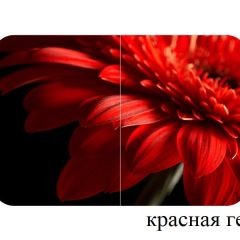 БОСТОН - 2 опоры Триумф в Троицке - troick.mebel24.online | фото 50
