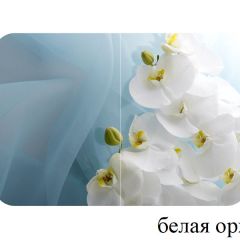 БОСТОН - 2 опоры Триумф в Троицке - troick.mebel24.online | фото 52