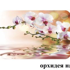 БОСТОН - 3 Стол раздвижной 1100/1420 опоры Триумф белые в Троицке - troick.mebel24.online | фото 3