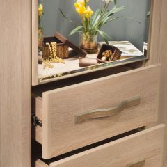 ДИАНА Д11 Шкаф для одежды в Троицке - troick.mebel24.online | фото 5