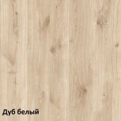 Эйп Шкаф комбинированный 13.14 в Троицке - troick.mebel24.online | фото 4