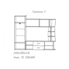 Гостиная ГАРМОНИЯ-3 (ЦРК.ГРМ.03) в Троицке - troick.mebel24.online | фото 2