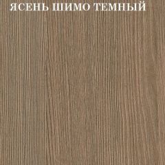 Кровать 2-х ярусная с диваном Карамель 75 (АРТ) Ясень шимо светлый/темный в Троицке - troick.mebel24.online | фото 5