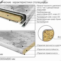 Кухонный фартук со столешницей (А-010) в едином стиле (3050 мм) в Троицке - troick.mebel24.online | фото 7