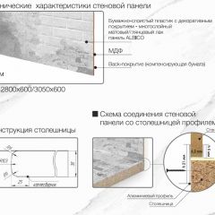 Кухонный фартук со столешницей (А-010) в едином стиле (3050 мм) в Троицке - troick.mebel24.online | фото 6