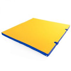 Мат гимнастический 1х1х0,05м с вырезом под стойки цв. синий-желтый в Троицке - troick.mebel24.online | фото