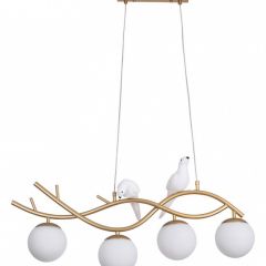 Подвесной светильник Arte Lamp Eltanin A3422SP-4GO в Троицке - troick.mebel24.online | фото 2