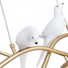 Подвесной светильник Arte Lamp Eltanin A3422SP-4GO в Троицке - troick.mebel24.online | фото 4