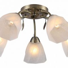 Потолочная люстра Rivoli Olivia Б0052693 в Троицке - troick.mebel24.online | фото