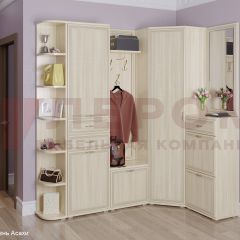 Прихожая Карина композиция 5 (Ясень Асахи) в Троицке - troick.mebel24.online | фото