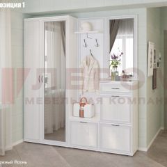 Прихожая Карина (модульная) в Троицке - troick.mebel24.online | фото 3