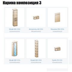 Прихожая Карина (модульная) в Троицке - troick.mebel24.online | фото 8