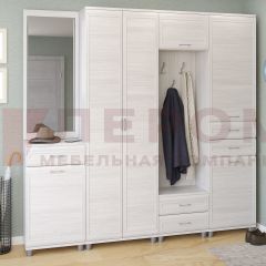 Прихожая Мелисса композиция 4 (Снежный Ясень) в Троицке - troick.mebel24.online | фото