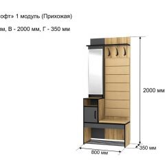 ОЛЬГА-ЛОФТ 1 Прихожая в Троицке - troick.mebel24.online | фото 4