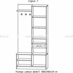 Прихожая София 1 в Троицке - troick.mebel24.online | фото 3