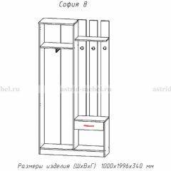 Прихожая София 8 в Троицке - troick.mebel24.online | фото 2