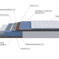 PROxSON Матрас Active Duo M/F (Ткань Трикотаж Эко) 80x190 в Троицке - troick.mebel24.online | фото 7