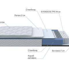 PROxSON Матрас Active Duo S/F (Ткань Трикотаж Эко) 160x190 в Троицке - troick.mebel24.online | фото 6