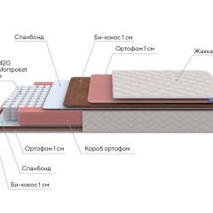 PROxSON Матрас Standart Plus M Roll (Ткань Жаккард) 160x195 в Троицке - troick.mebel24.online | фото 7