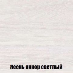 Шкаф 2-х створчатый МСП-1 (Ясень Анкор светлый) в Троицке - troick.mebel24.online | фото 4