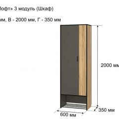 ОЛЬГА-ЛОФТ 3 Шкаф 2-х створчатый в Троицке - troick.mebel24.online | фото 4