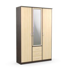Шкаф комбинированный Дуэт Люкс с зеркалом в Троицке - troick.mebel24.online | фото
