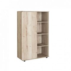 Шкаф комбинированный Дельта Лофт-13 Дуб Ирладндский в Троицке - troick.mebel24.online | фото