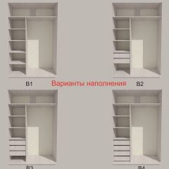 Шкаф-купе 1300 серии SILVER S1+S1+B2+PL2 (2 ящика+1 штанга+1 полка) профиль «Серебро» в Троицке - troick.mebel24.online | фото 5