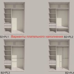 Шкаф-купе 1300 серии SILVER S1+S1+B2+PL2 (2 ящика+1 штанга+1 полка) профиль «Серебро» в Троицке - troick.mebel24.online | фото 6