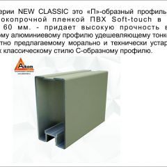 Шкаф-купе 1500 серии NEW CLASSIC K2+K2+B2+PL2(2 ящика+1 штанга+1 полка) профиль «Капучино» в Троицке - troick.mebel24.online | фото 17