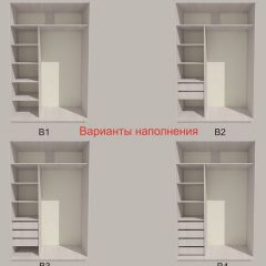 Шкаф-купе 1500 серии SILVER S3+S4+B2+PL4 (2 ящика+F обр.штанга) профиль «Серебро» в Троицке - troick.mebel24.online | фото 5