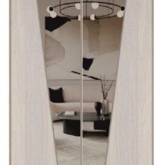 Шкаф-купе 1500 серии SILVER S3+S4+B2+PL4 (2 ящика+F обр.штанга) профиль «Серебро» в Троицке - troick.mebel24.online | фото 12