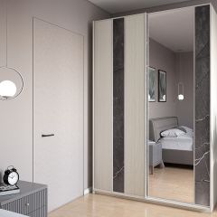 Шкаф-купе 1500 серии SILVER S4+S3Z+B2+PL1 (2 ящика+1 штанга) профиль «Серебро» в Троицке - troick.mebel24.online | фото
