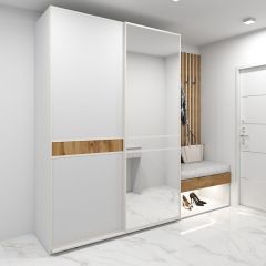 Шкаф-купе 1600 серии SOFT D6+D4+B2+PL2 (2 ящика+1штанга+1 полка) профиль «Капучино» в Троицке - troick.mebel24.online | фото 5