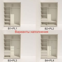 Шкаф-купе 1600 серии SOFT D6+D6+B2+PL3 (2 ящика+2штанги) профиль «Капучино» в Троицке - troick.mebel24.online | фото 6