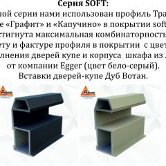 Шкаф-купе 1600 серии SOFT D8+D2+B2+PL4 (2 ящика+F обр.штанга) профиль «Графит» в Троицке - troick.mebel24.online | фото 12