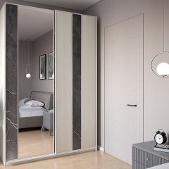 Шкаф-купе 1700 серии SILVER S3+S4+B2+PL4 (2 ящика+F обр.штанга) профиль «Серебро» в Троицке - troick.mebel24.online | фото