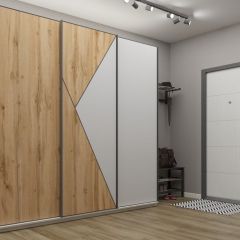 Шкаф-купе 2100 серии SOFT D2+D7+D3+B22+PL2 (по 2 ящика лев/прав+1штанга+1полка) профиль «Графит» в Троицке - troick.mebel24.online | фото