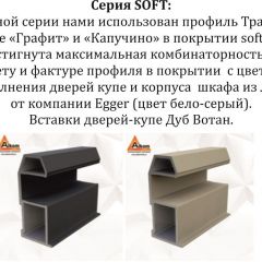 Шкаф-купе 2100 серии SOFT D5+D4+D5+B22+PL3 (по 2 ящика лев/прав+2штанги) профиль «Графит» в Троицке - troick.mebel24.online | фото 12
