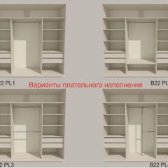 Шкаф-купе 2100 серии SOFT D5+D5+D5+B22+PL4 (по 2 ящика лев/прав+2штанги) профиль «Графит» в Троицке - troick.mebel24.online | фото 4