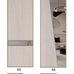 Шкаф-купе 2250 серии SILVER S5+S1+S5 B22+PL2 (по 2 ящика лев/прав+1 штанга+1 полка) профиль «Серебро» в Троицке - troick.mebel24.online | фото 13
