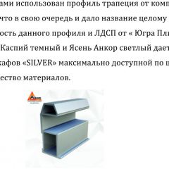 Шкаф-купе 2250 серии SILVER S5+S1+S5 B22+PL2 (по 2 ящика лев/прав+1 штанга+1 полка) профиль «Серебро» в Троицке - troick.mebel24.online | фото 16