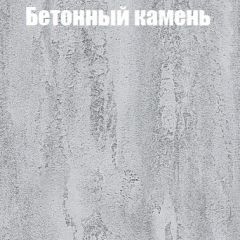 Шкаф-купе Бассо 1.0 (Дуб Крафт серый/Бетонный камень) 2 двери ЛДСП 1 зеркальная вставка в Троицке - troick.mebel24.online | фото 3