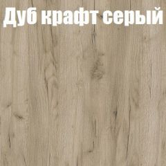 Шкаф-купе Бассо 1.0 (Дуб Крафт серый/Бетонный камень) 2 двери ЛДСП 1 зеркальная вставка в Троицке - troick.mebel24.online | фото 4
