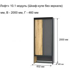 ОЛЬГА-ЛОФТ 10.1 Шкаф-купе без зеркала в Троицке - troick.mebel24.online | фото 3