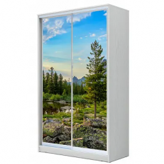 Шкаф-купе ХИТ 22-14-77 (620) в Троицке - troick.mebel24.online | фото 5