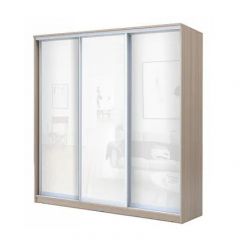 Шкаф-купе ХИТ 22-20-888 (620) в Троицке - troick.mebel24.online | фото 7