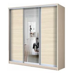 Шкаф-купе ХИТ 23-4-20/2-151 (420) в Троицке - troick.mebel24.online | фото 6
