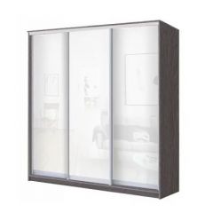 Шкаф-купе ХИТ 23-4-20-888 (420) в Троицке - troick.mebel24.online | фото 1